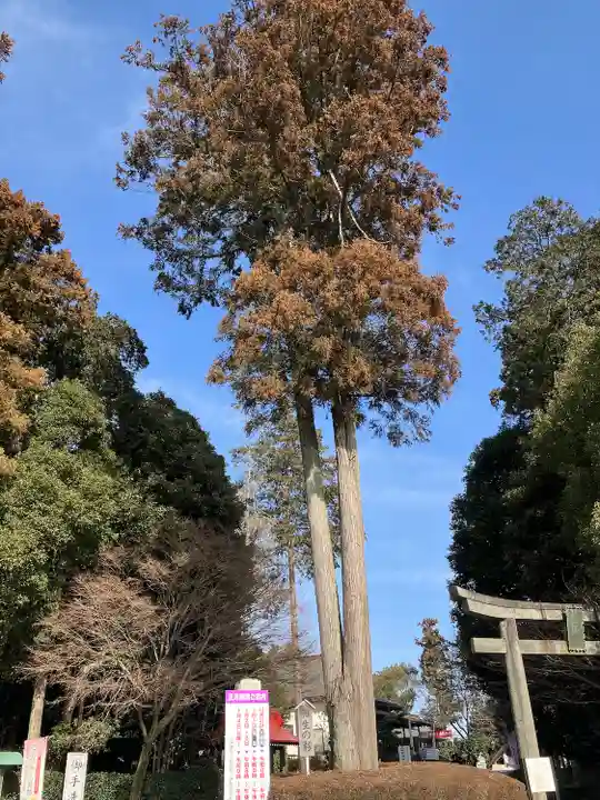白鷺神社(栃木県)