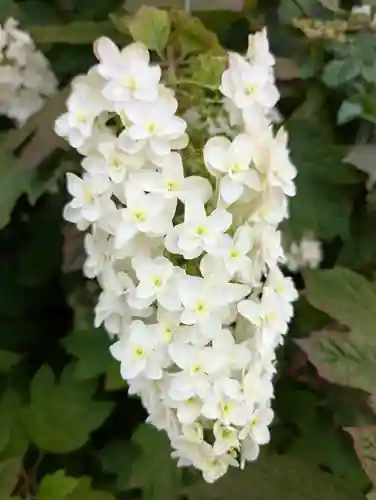 正一位三光稲荷大明神(神奈川県)