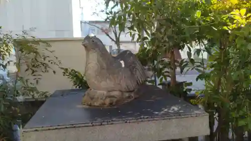 高知大神宮(高知県)