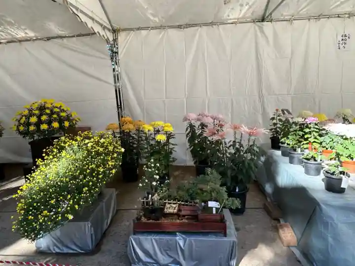 穂高神社本宮(長野県)