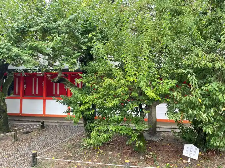 北野天満宮(京都府)