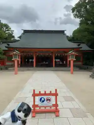 住吉神社の本殿・本堂
