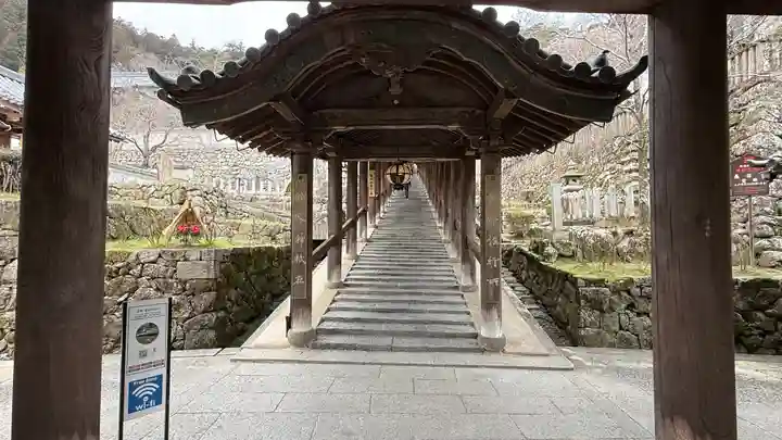 長谷寺(奈良県)