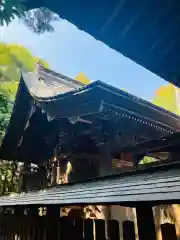 日枝神社の本殿