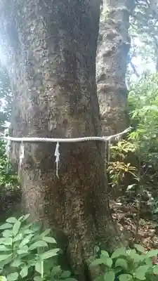 沖ノ島宇賀大明神社(千葉県)