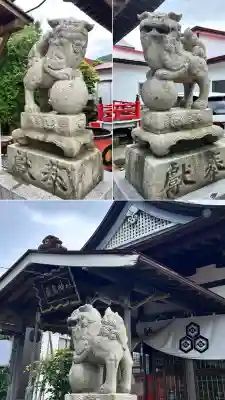 函館厳島神社の狛犬