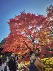 東福禅寺（東福寺）(京都府)