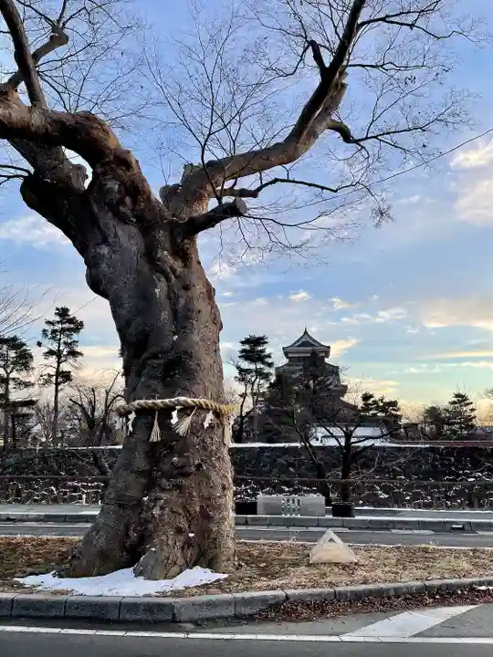 松本神社(長野県)