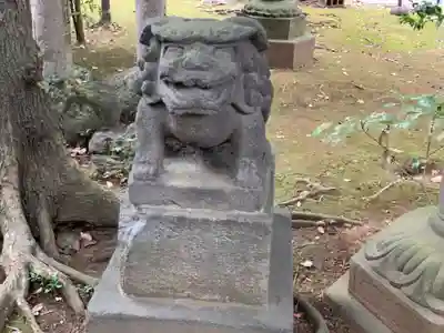 赤坂氷川神社の本殿・本堂
