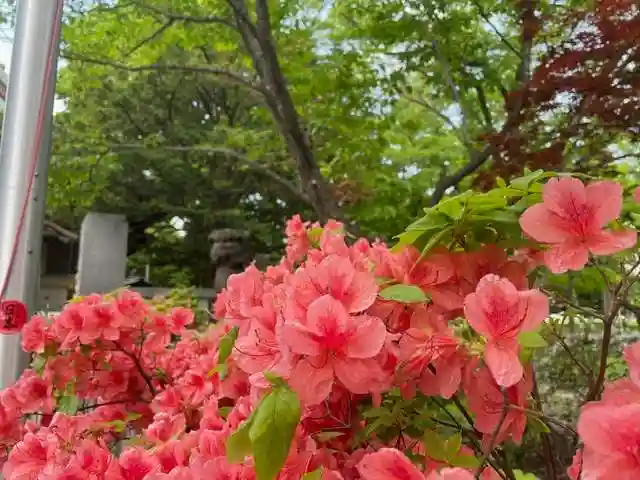 彌彦神社 (伊夜日子神社)の自然