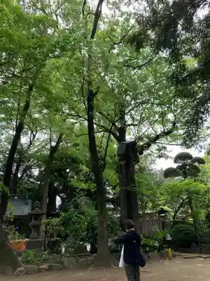 大鷲神社(東京都)