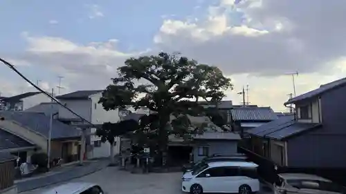 櫟谷七野神社(京都府)