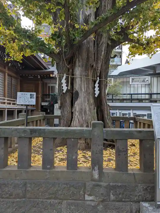 大鳥神社(東京都)