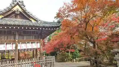 鍬山神社(京都府)