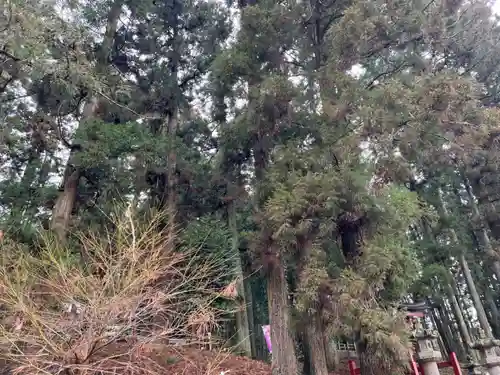 大宮温泉神社(栃木県)