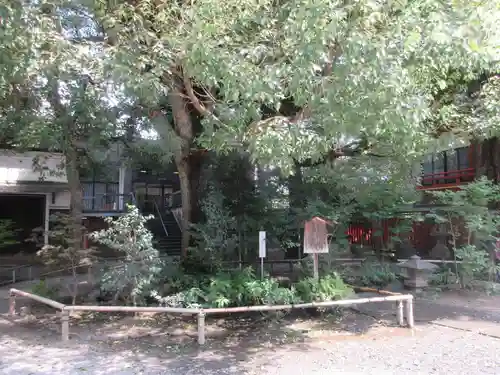 秩父神社(埼玉県)