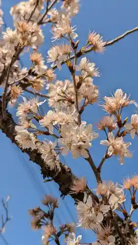 玉田神社(京都府)