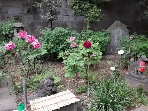 王子稲荷神社(東京都)