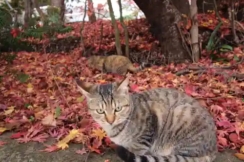 前山寺(長野県)