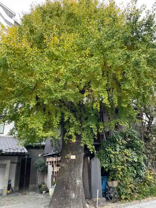 橋場寺不動院(橋場不動尊)(東京都)