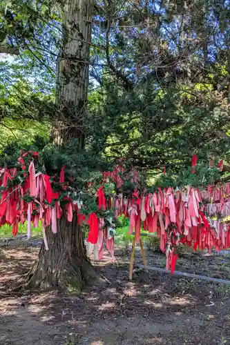 卯子酉神社の自然