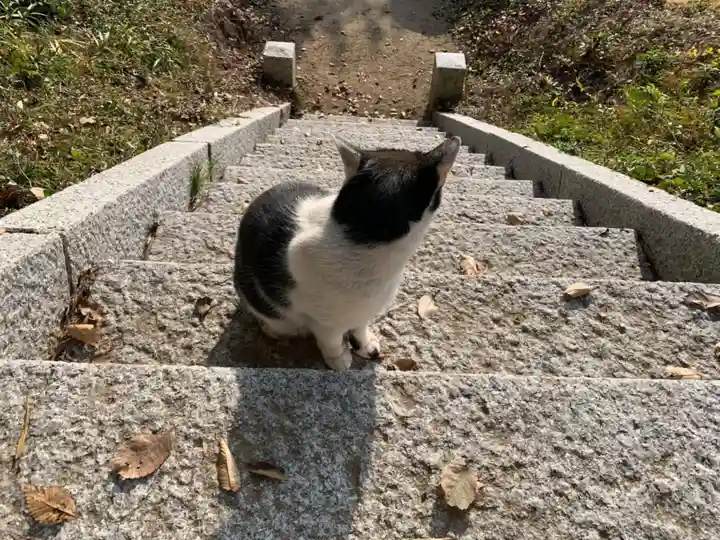 春日神社(千葉県)