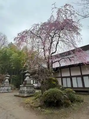 八王寺(埼玉県)