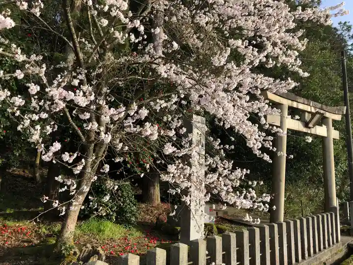 気比神社(福井県)