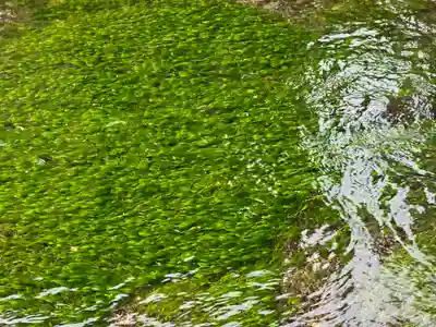 了徳寺(滋賀県)