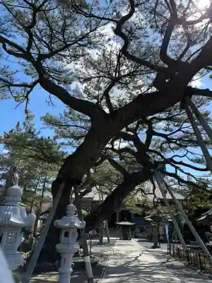誕生寺の{uncategorized: "未分類", other: "その他", undefined: "問題あり", building: "その他建物", grave: "お墓", sacred_gate: "鳥居", guardian: "狛犬", statue: "像", buddha: "仏像", history: "歴史", nature: "自然", garden: "庭園", animal: "動物", pagoda: "塔", temizu: "手水舎", mountain_gate: "山門・神門", sanctuary: "本殿・本堂", subordinate: "末社・摂社", art: "芸術", scenery: "景色", jizo: "地蔵", ema: "絵馬", goshuin: "御朱印", omikuji: "おみくじ", items: "授与品その他", amulet: "お守り", goshuincho: "御朱印帳", eats: "食事", festival: "お祭り", votive_dance: "神楽", shichigosan: "七五三参", wedding: "結婚式", experience: "体験その他", initially: "初詣", around: "周辺", anti_infection: "感染症対策"}