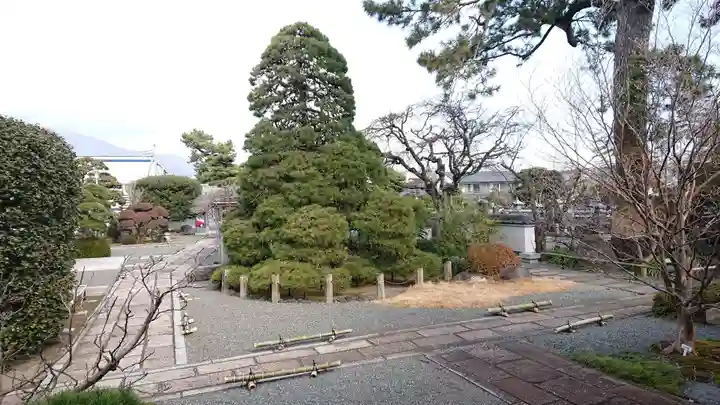 徳源寺のその他建物