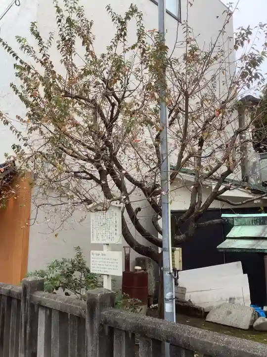 富士浅間神社(愛知県)