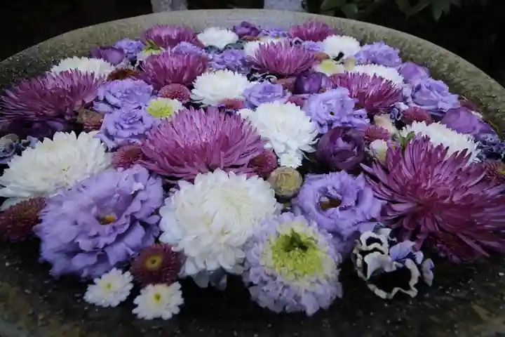 行田八幡神社の手水舎