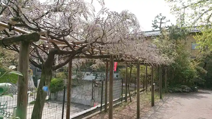 新潟大神宮の自然