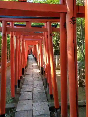 根津神社の鳥居