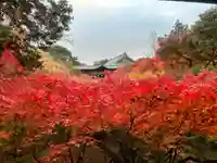 東福禅寺(東福寺)(京都府)