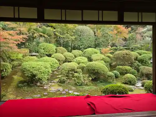 安楽寺(京都府)