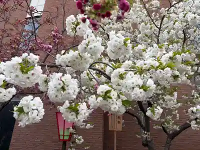 大阪天満宮(大阪府)