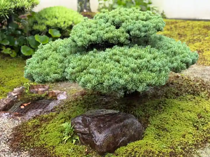 西方山極楽寺(岐阜県)