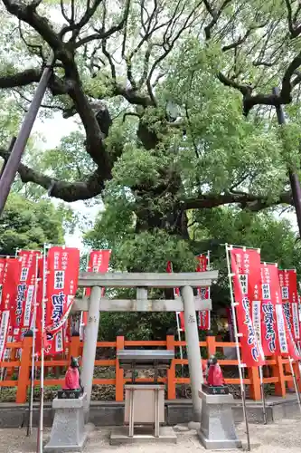 住吉大社(大阪府)