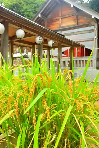 富岡八幡宮(神奈川県)