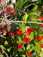 上尾御嶽神社の手水舎