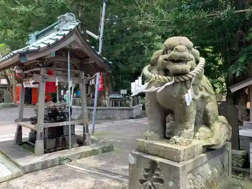 海南神社の狛犬