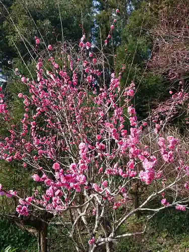 龍尾神社の自然