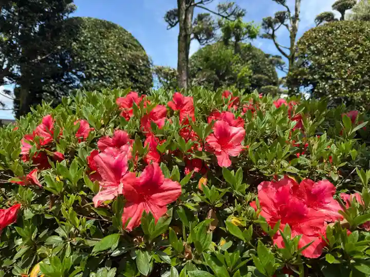 美奈宜神社(福岡県)