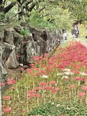 横浜　西方寺(神奈川県)