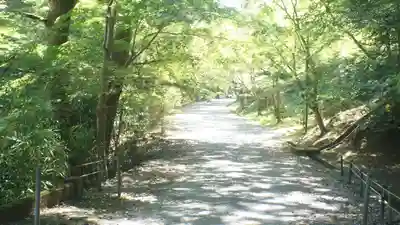 園城寺（三井寺）(滋賀県)