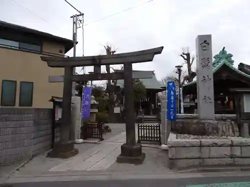 白髭神社(東京都)