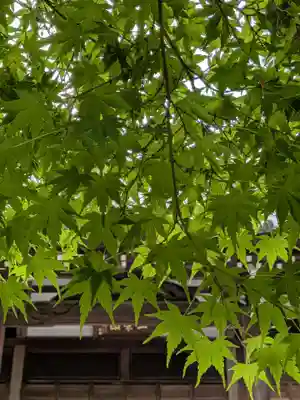 大正寺(東京都)