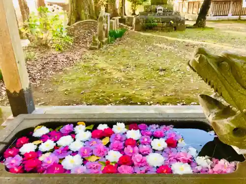 西蓮寺の手水舎